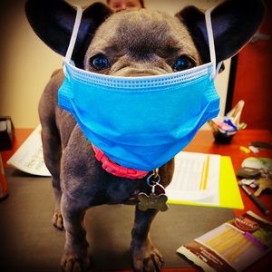 Meet your Posher, Debra